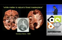 Sztuczny mózg.. czyli świetny wykład o najnowszym projekcie IBM
