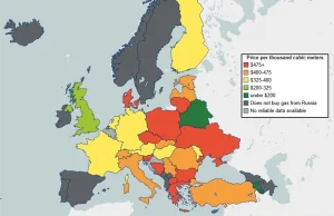 [ENG] Infografika i wykresy kto ile płaci za gaz w Europie