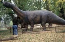 Pierwszy dinozaur odkryty w Hiszpanii jest młodszy o 15 milionów lat