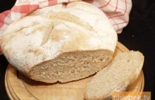 Gotuj z Wykopem - chleb pszenny na zakwasie