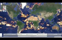 Global Fishing Watch - Google śledzi kutry rybackie na globalną skalę.