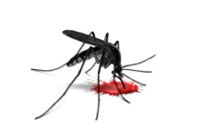 Czy komary przenoszą HIV?