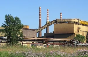 Członek rady nadzorczej Huty Częstochowa skazany w Rosji na 9 lat koloni karnej