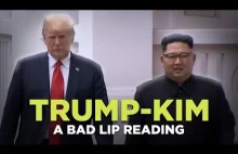 Spotkanie Trump - Kim... kiedy kiepsko czytasz z ruchu ust