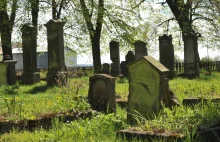 Cmentarze mennonickie na Żuławach. Ślady osadnictwa przybyszów z Niderlandów