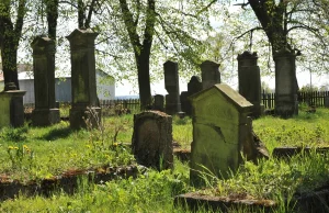 Cmentarze mennonickie na Żuławach. Ślady osadnictwa przybyszów z Niderlandów