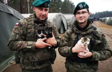 Mogły zginąć na poligonie! Żołnierze ocalili małe kotki! [ZDJĘCIA