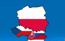 Rząd Kopacz zdradził Czechów Słowaków i Węgrów :: polityka