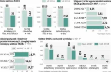 Prokuratura szuka kozłów ofiarnych w sprawie SKOK