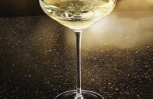 Kieliszek do szampana w kształcie piersi Kate Moss