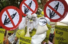 6 Kontynentów, 40 narodów, 200000 aktywistów - globalny protest przeciw Monsanto
