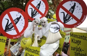 6 Kontynentów, 40 narodów, 200000 aktywistów - globalny protest przeciw Monsanto