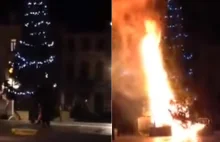 Belgia: choinka świąteczna wysadzona przez młodych muzułmanów.