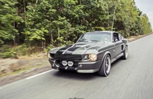 Shelby "Eleanor" - filmowa legenda w Polsce!