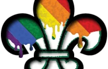 Centrum Życia i Rodziny tworzy petycję przeciwko "homoideologii" w ZHP