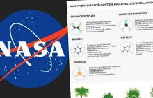 NASA wybrała 18 roślin, które najlepiej oczyszczają powietrze