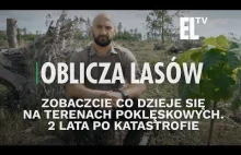 Zobaczcie co dzieje się na terenach poklęskowych. 2 lata po katastrofie.