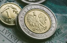 Złoty znów na deskach. Euro najdroższe od 7 miesięcy