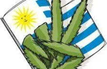 Marihuana legalna w Urugwaju