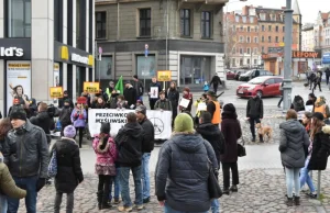 Więzienie za spacerowanie po lesie? Protest w Poznaniu