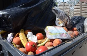 Markety dostaną zakaz wyrzucania jedzenia -Przełom we Francji.