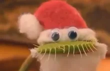Życzenia świąteczne od muchołówki LOL