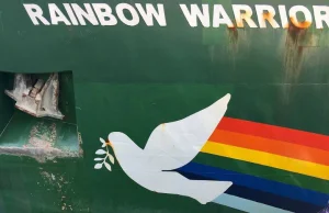 Działacze Greenpeace wspięli się na dźwigi w terminalu portowym w Gdańsku