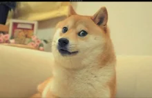 DOGE jako easter egg YouTube