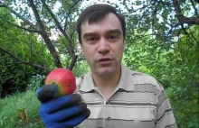 Akcja jedz jabłka Gazety Wyborczej to kompletny absurd! - tłumaczy Andrzej...