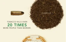 Wszystko o paleniu papierosów [infogragika]