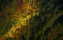 Jesień w górach Kazachstanu