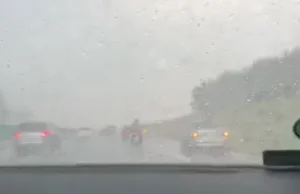 Kierowcy zatrzymali samochody w czasie deszczu na autostradzie A2. Nowa moda?