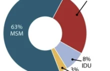 Centrum Kontroli Chorób - za epidemię HIV odpowiadają homoseksualiści