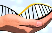 Genomika - odkryto naukowy sposób na poznanie swojej przyszłości