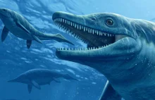 Odkryto szczątki ichtiozaura, który był jednym z największych zwierząt...