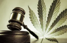 Legalizacja marihuany