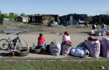 Stan pogotowia: fala biedoty z Rumunii i Bułgarii zalewa niemieckie miasta