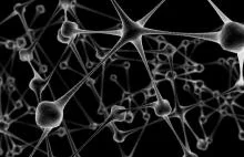 Neurony z komórek skóry