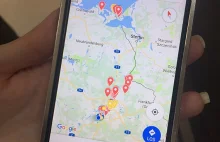 Niezwykła historia psiej uciekinierki. Przebiegła ponad 600 km