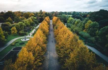 Londyn chce być pierwszym na świecie miejskim parkiem narodowym. Cel:50% zieleni