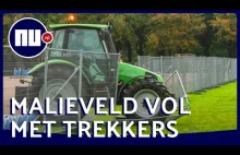 Rolnicy w Holandii walczą o swoje prawa