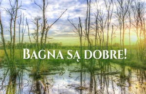 Bagna są dobre!