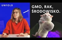 Czy GMO jest bezpieczne?