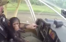 Uratowana małpka przed kłusownikami