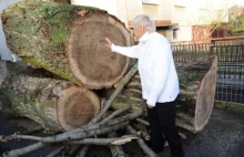 Police: urzędnik ukarany za dostawę drewna dla starszej pani