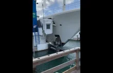 Świadkowie uchwycili moment kolizji jachtu na filmie