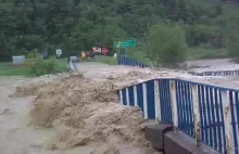Natura vs polski most