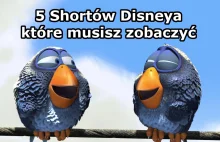 5 Shortów Disneya, które musisz zobaczyć