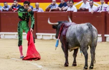 Francja: tragiczny finał korridy; zginął słynny matador