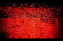 Czerwony Deszcz z Kerali - niezwykłe zdarzenie z 2001 roku